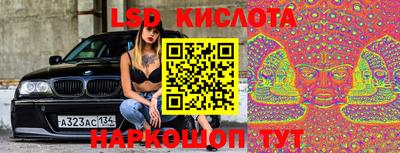 jwh Кингисепп