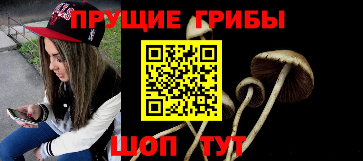 Дзержинск  Псилоцибиновые грибы GOLDEN TEACHER  Галлюциногенные грибы прущие грибы  Вход с VPN 